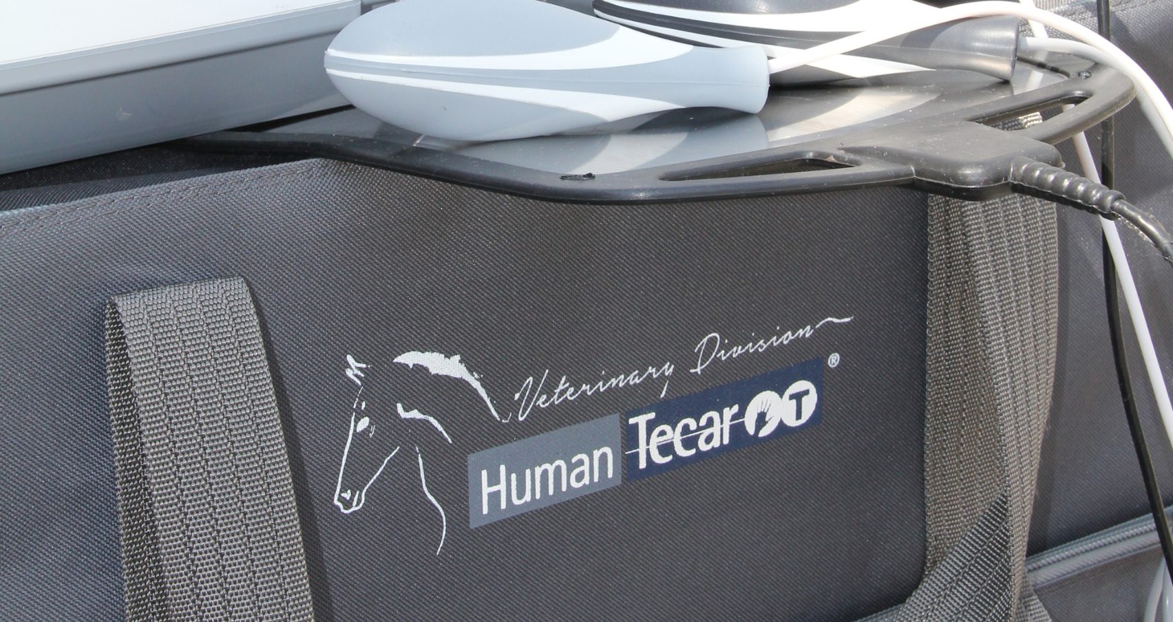 Humantecar-veterinaria-4