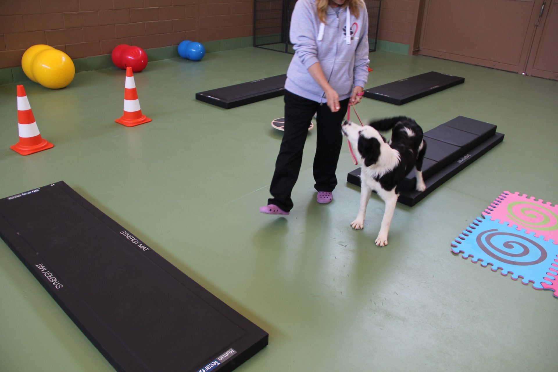 human_tecar_IMG_20160516_IT_Clinica-San-Michele_Veterinaria-24-scaled (1)